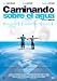 Search : Walk on Water (Caminando Sobre el Agua) [NTSC/REGION 1 & 4 DVD. Import-Latin America]