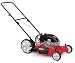 Outdoor Living : White Outdoor 22" 4.5 HP Gas Powered Push Lawn Mower #11A503A800