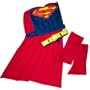 Superman 3-D Muscle Chest Playset (young adult)