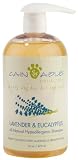 Cain & Able Lavender Conditioning Shampoo - 16 Ounces