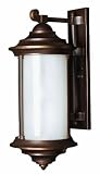 Hanna Metro Bronze Outdoor Wall Light (Dark Sky & Energy Saving Solutions) Hinkley