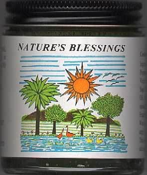 Nature's Blessings Hair Pomade 4 oz.