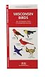 Wisconsin Birds: An Introduction to Familiar Species (State Nature Guides)