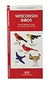 Wisconsin Birds: An Introduction to Familiar Species (State Nature Guides)