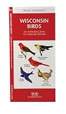Wisconsin Birds: An Introduction to Familiar Species (State Nature Guides)