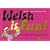 Welsh is Fun!: A New Course in Spoken Welsh for the Beginner