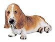 Basset Hound Figurine - Cold Cast Resin - 3'' Height