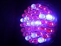 Acne Blue Red LED Light Therapy 38 LED Bulb for Treatment Acne and Acne Scars 415nm 660nm