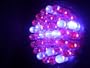 Acne Blue Red LED Light Therapy 38 LED Bulb for Treatment Acne and Acne Scars 415nm 660nm