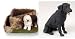 Lab Retriever (Black) Triangle Planter