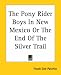 The Pony Rider Boys In New Mexico Or The End Of The Silver Trail