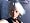 Dead or Alive 3