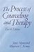 The Process of Counselling and Therapy