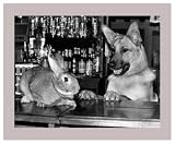Your Barred Animals Art Poster Print, 24x20