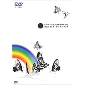 every little thing:2003 tour MANY PIECES [DVD]