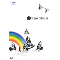 every little thing:2003 tour MANY PIECES [DVD]