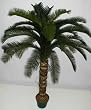 5' INDOOR / OUTDOOR Deluxe Cycas Palm Tree