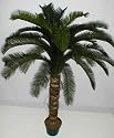 5' INDOOR / OUTDOOR Deluxe Cycas Palm Tree