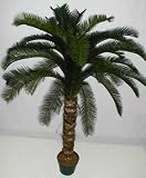 5' INDOOR / OUTDOOR Deluxe Cycas Palm Tree