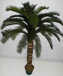 5' INDOOR / OUTDOOR Deluxe Cycas Palm Tree