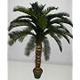 5' INDOOR / OUTDOOR Deluxe Cycas Palm Tree
