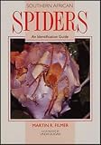 South African Spiders: An Identification Guide