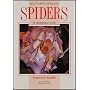 South African Spiders: An Identification Guide