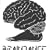 Braindance Coincidence