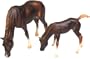 3358 GRAZING MARE&FOAL GIFT 6
