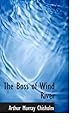 The Boss of Wind River