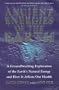 Ancient Energies of the Earth Pb