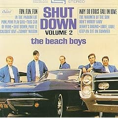 Shut Down, Vol. 2