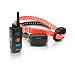 Dogtra Hunter 2 Dog Training Collar Platinum System