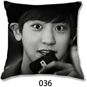 Soil Throw Pillows Park Chan Yeol Office Nap Pillows Sofa Cushion Bedding Article 17.7'' *17.7'' Birthday Gift (36)