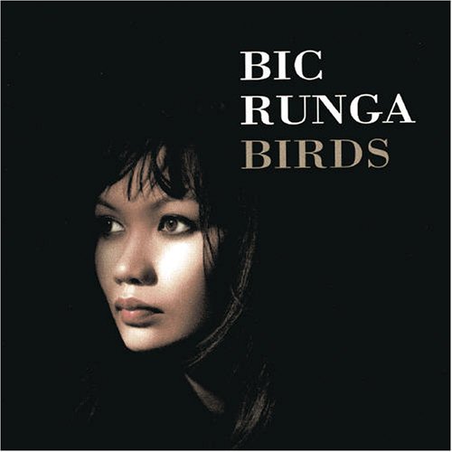 Bic Runga - If I Had You Lyrics - Zortam Music
