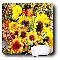 Flowers - Sun Flower flowers - Mouse Pads
