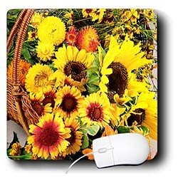 Flowers - Sun Flower flowers - Mouse Pads