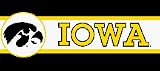 Iowa Hawkeyes NCAA Licensed 7 H x 15' L Border