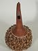 CasaPercussion Nut Wood Shaker, (medium)