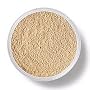 Bare Escentuals Matte Foundation-Golden Fair .21oz/6 g