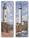 Silent Sentinel and Coastal Guardian Set by Robert Wee 12