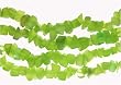 36 inch Endless Chip Necklace (approx. 8mm) - Green Fiber Optic