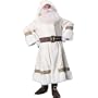White Brocade Old Time Santa Suit Adult