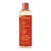 ARGAN OIL FROM MOROCCO INTENSIVE CONDITIONING TREATMENT 354ml