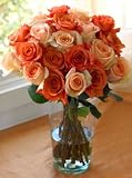 Two Dozen Assorted Roses, Eco-Friendly - Multi-color Rose Bouquet
