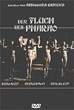 Der Fluch des Pharao - Debra Paget