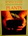 Plants (Science Fair : How to Do a Successful Project)