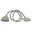 QVS SCSI III to SCSI I Connection CC367D-03