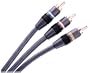 Monster SV11001M Composite Video with RCA Audio Cable Kit (1 meter)