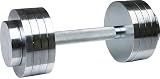 クロ-ムダンベル 10kg WCD1000